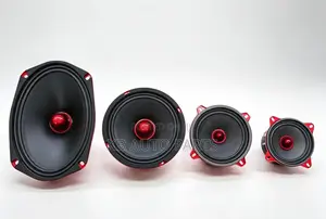 Car Door Speakers