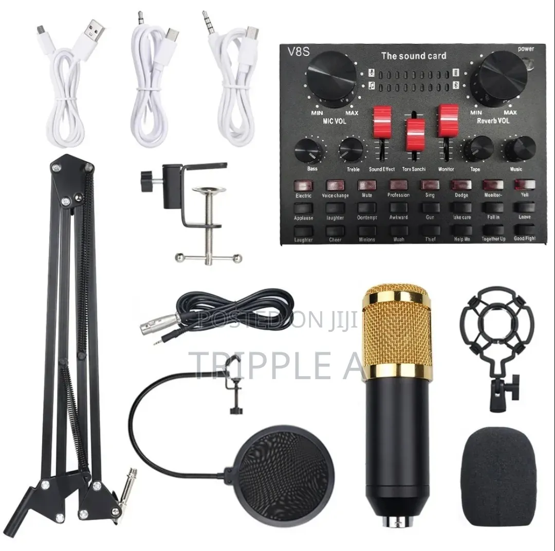 Music Recording Personal Condenser Microphone