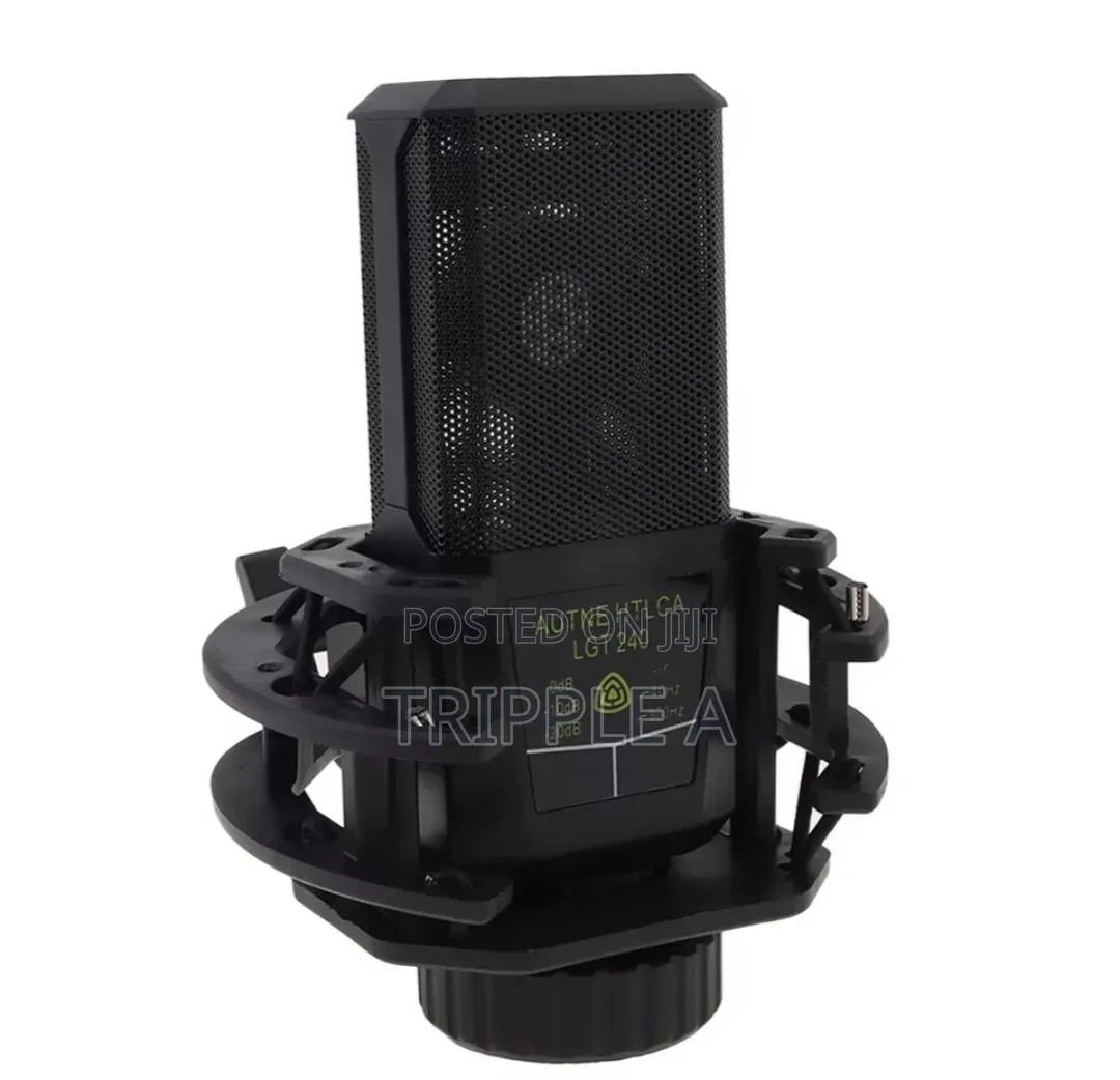 Unique LGT Condenser Microphone