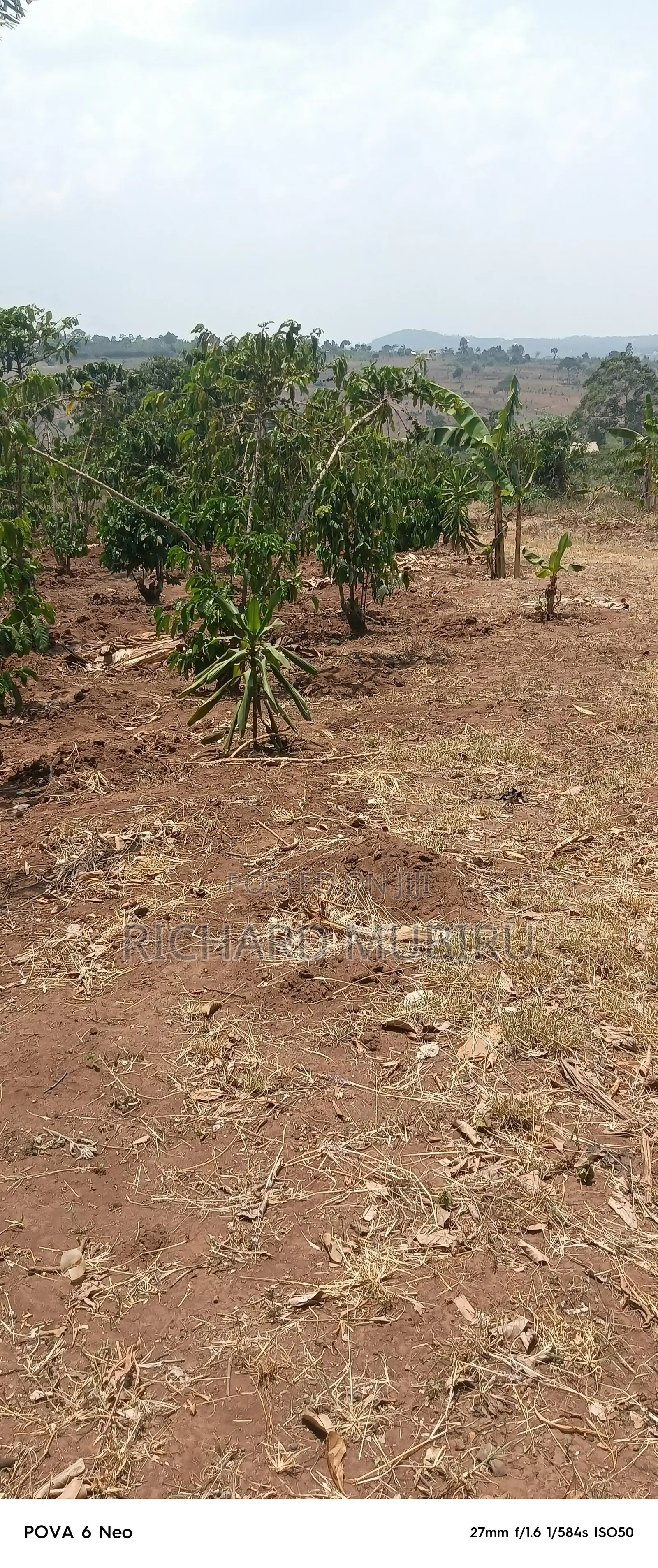Affordable Executive Plot