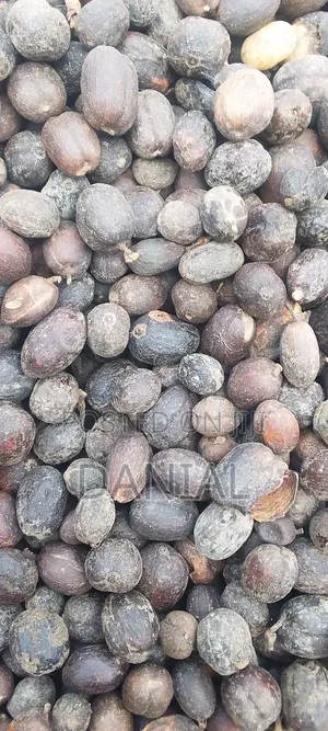 Coffee Uganda