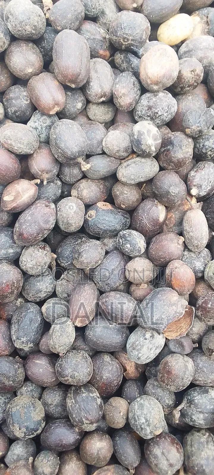 Coffee Uganda