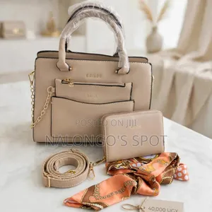 Ladies Handbag