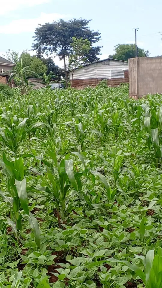  30 Decimals of Land for Sale – Kabubu