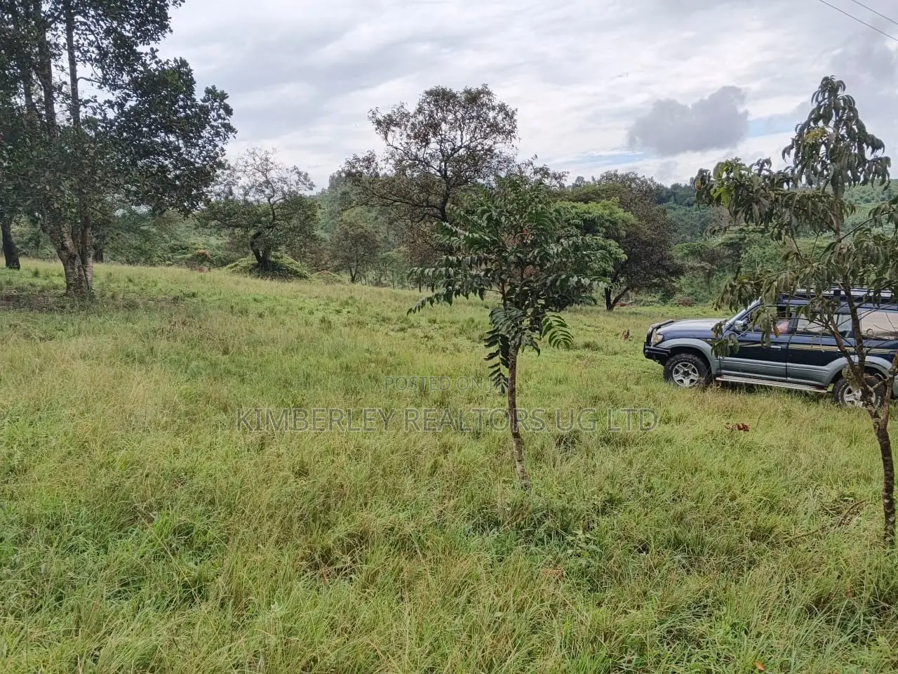 Bank Pressure Sale – 83.3 Acres of Land for Sale, Mukyenda, Mubende