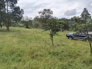  Bank Pressure Sale – 83.3 Acres of Land for Sale, Mukyenda, Mubende