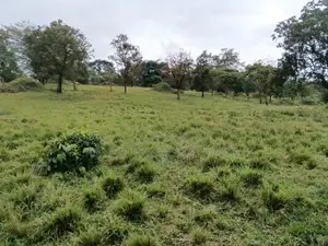  Bank Pressure Sale – 83.3 Acres of Land for Sale, Mukyenda, Mubende