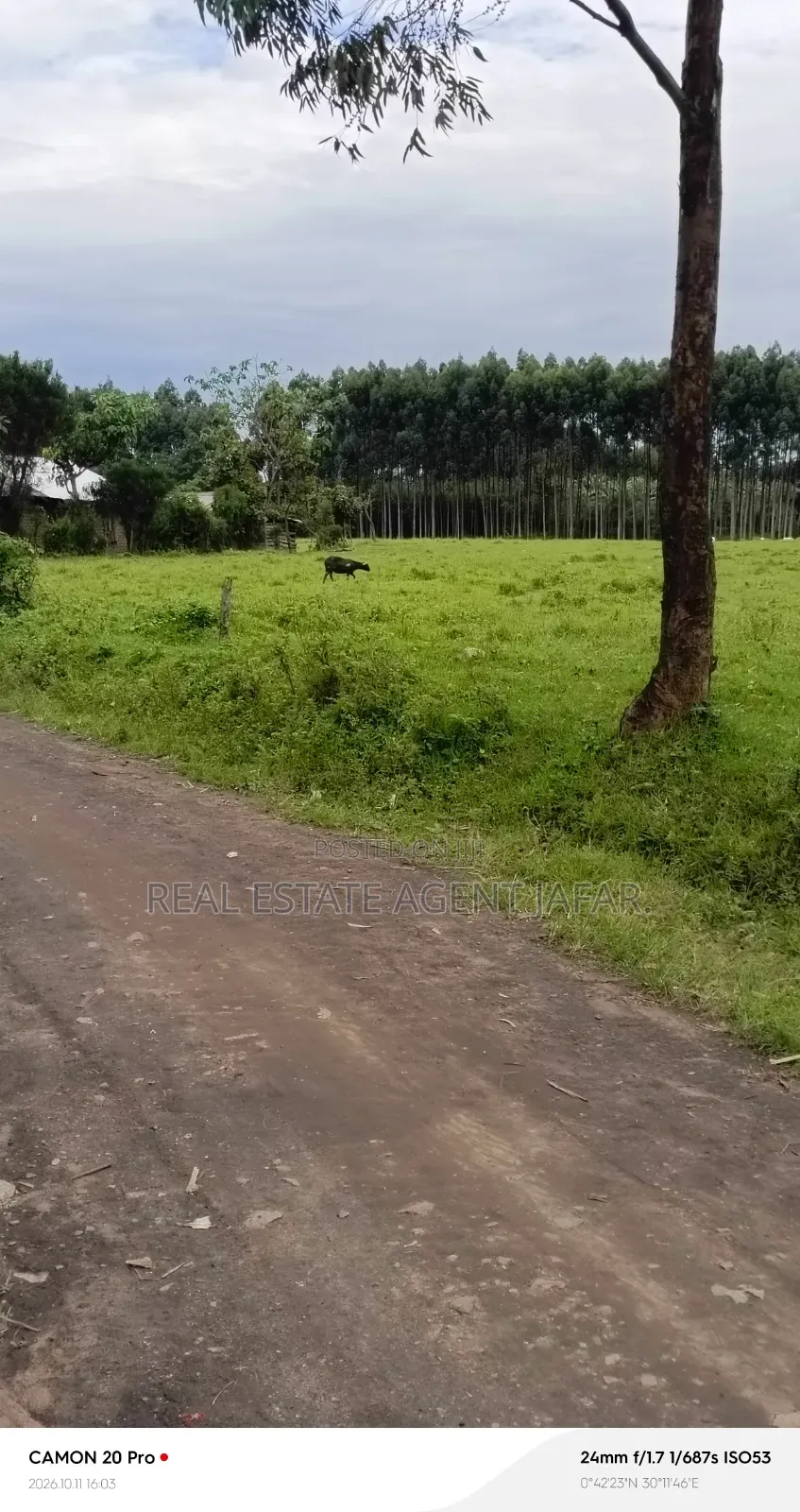4.4 Acres of Land for Sale in Fort Portal City.