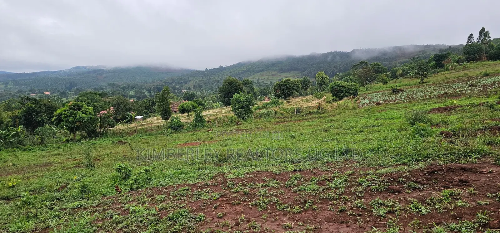  Hill View Plots for Sale – Boza, Mpigi