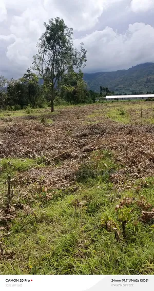 Estate in Kitarasa, Fort Portal City.