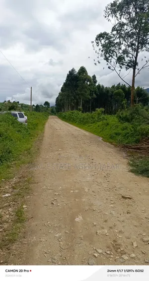 Estate in Kitarasa, Fort Portal City.