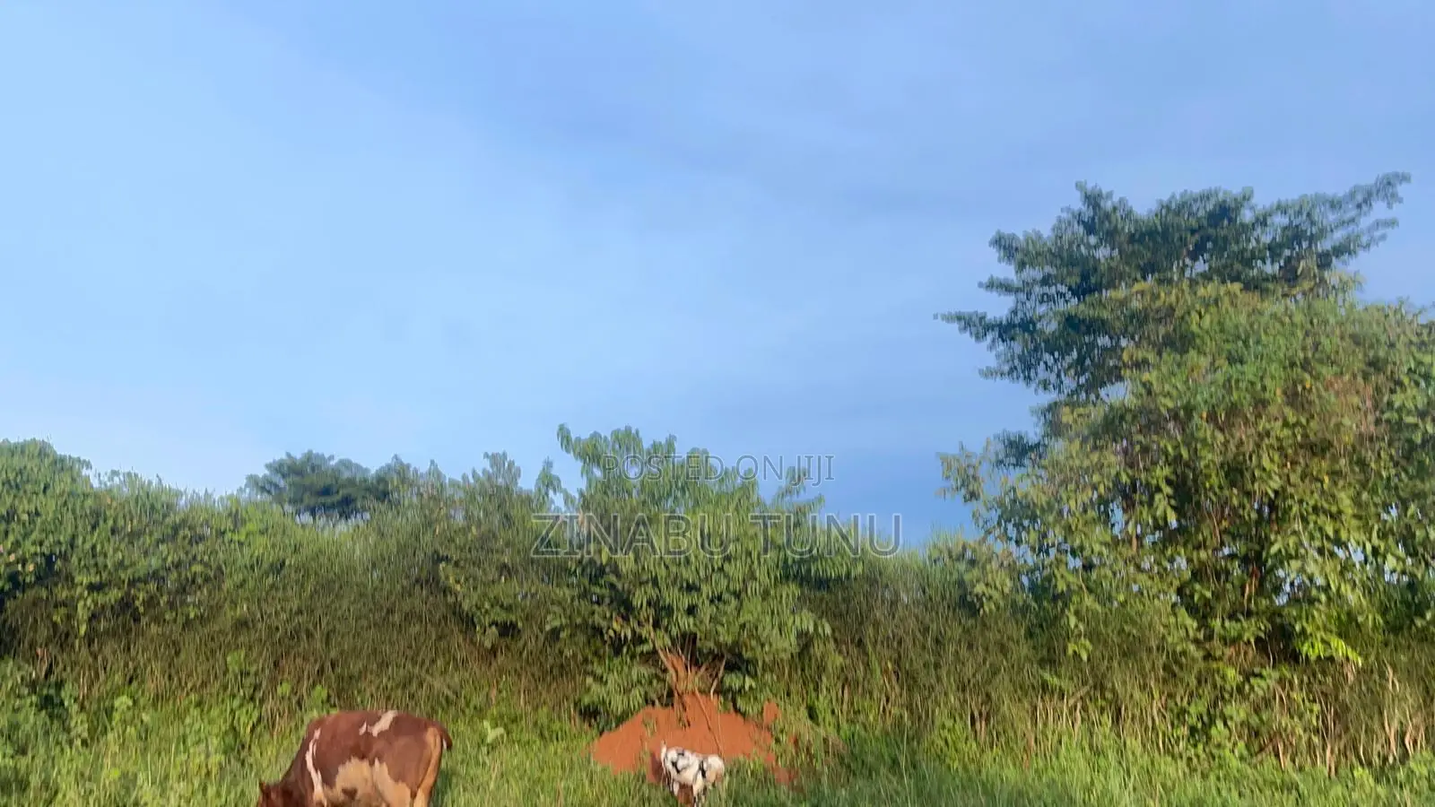 1acre for Sale Nakawuka Ngongolo