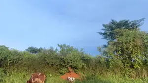 1acre for Sale Nakawuka Ngongolo