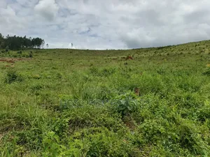 100 Acres of Land on Sale Located in Butiiti Town Council