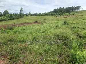100 Acres of Land on Sale Located in Butiiti Town Council