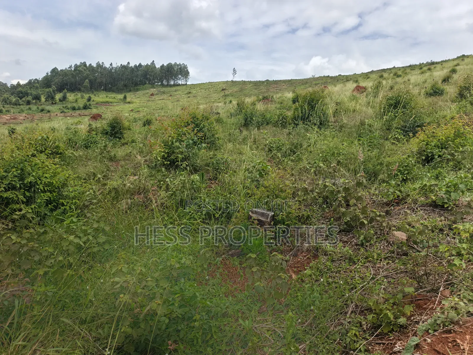 100 Acres of Land on Sale Located in Butiiti Town Council