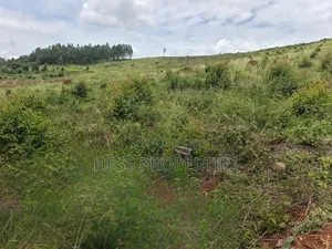 100 Acres of Land on Sale Located in Butiiti Town Council