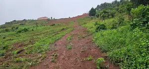  Quick Sale – 1 Acre Lakefront Land for Sale, Bwerenga Bugiri
