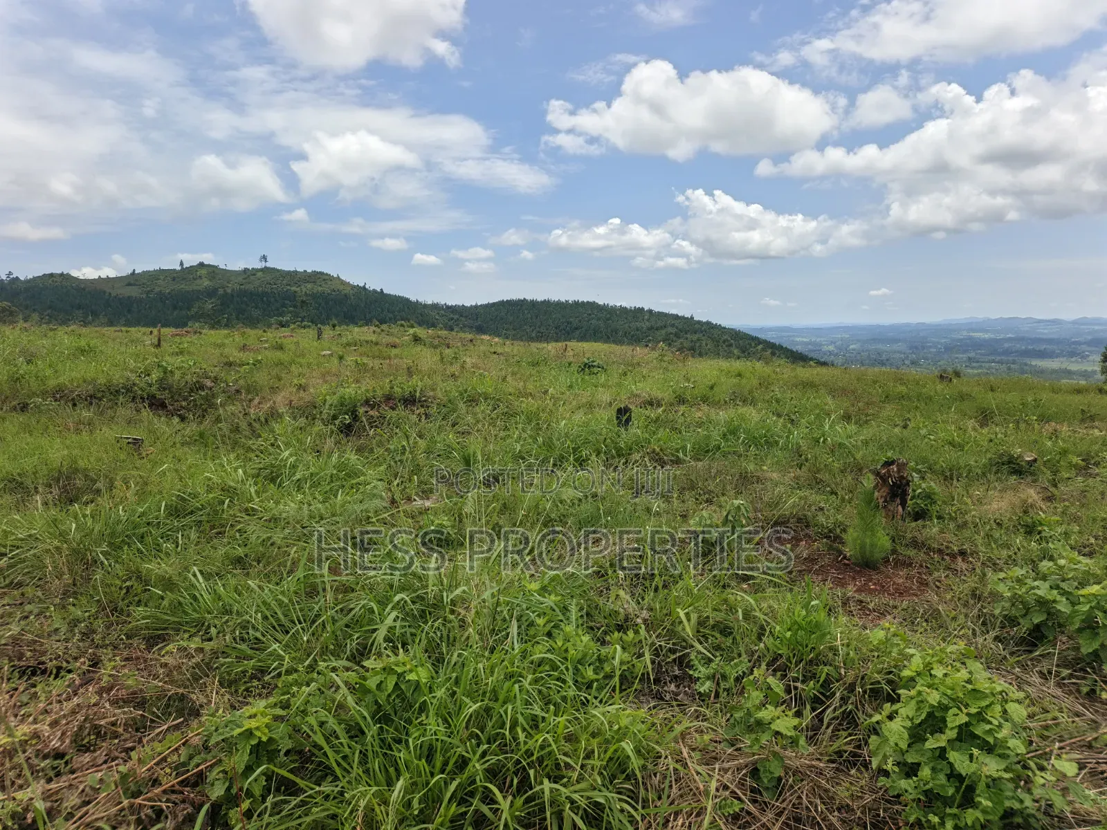 100 Acres of Land on Sale Located in Butiiti Town Council