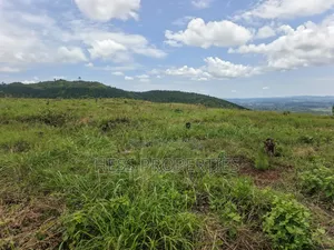 100 Acres of Land on Sale Located in Butiiti Town Council