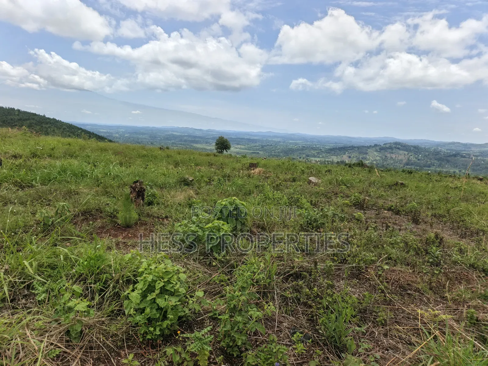 100 Acres of Land on Sale Located in Butiiti Town Council
