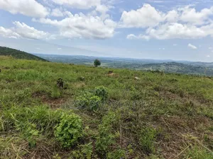 100 Acres of Land on Sale Located in Butiiti Town Council