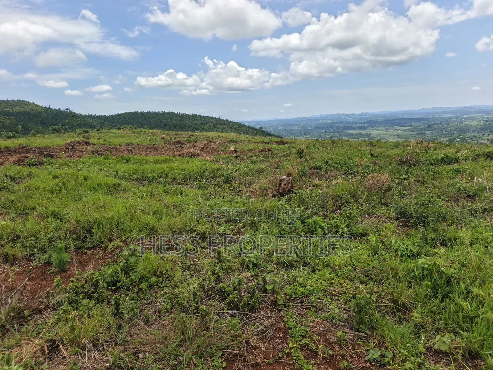 100 Acres of Land on Sale Located in Butiiti Town Council