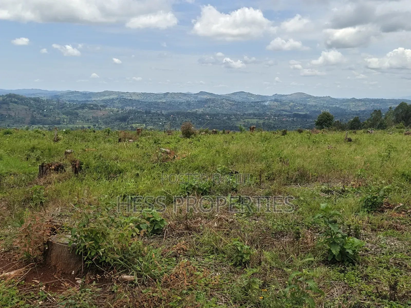 100 Acres of Land on Sale Located in Butiiti Town Council
