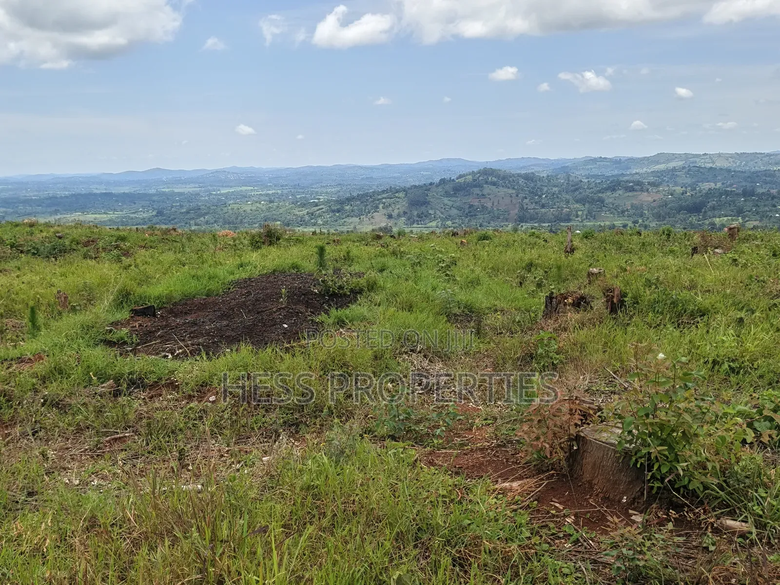100 Acres of Land on Sale Located in Butiiti Town Council