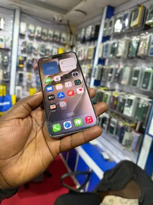 Apple iPhone 15 Pro Max 256 GB Silver