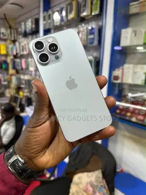 Apple iPhone 15 Pro Max 256 GB Silver