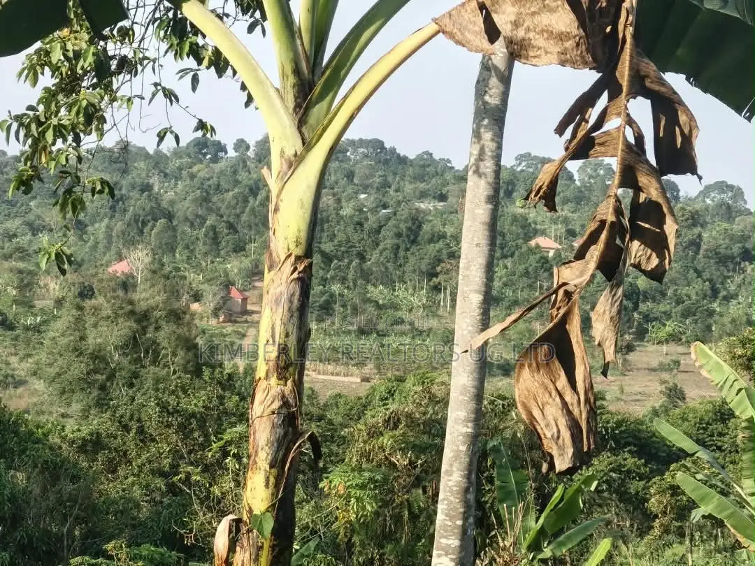  2 Acres of Land for Sale – Zigoti, Mityana Road