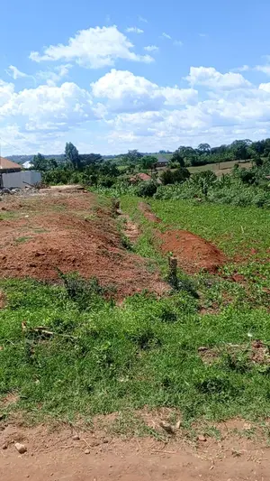  3 Plots of Land for Sale – Kabubu, Mukasa Road