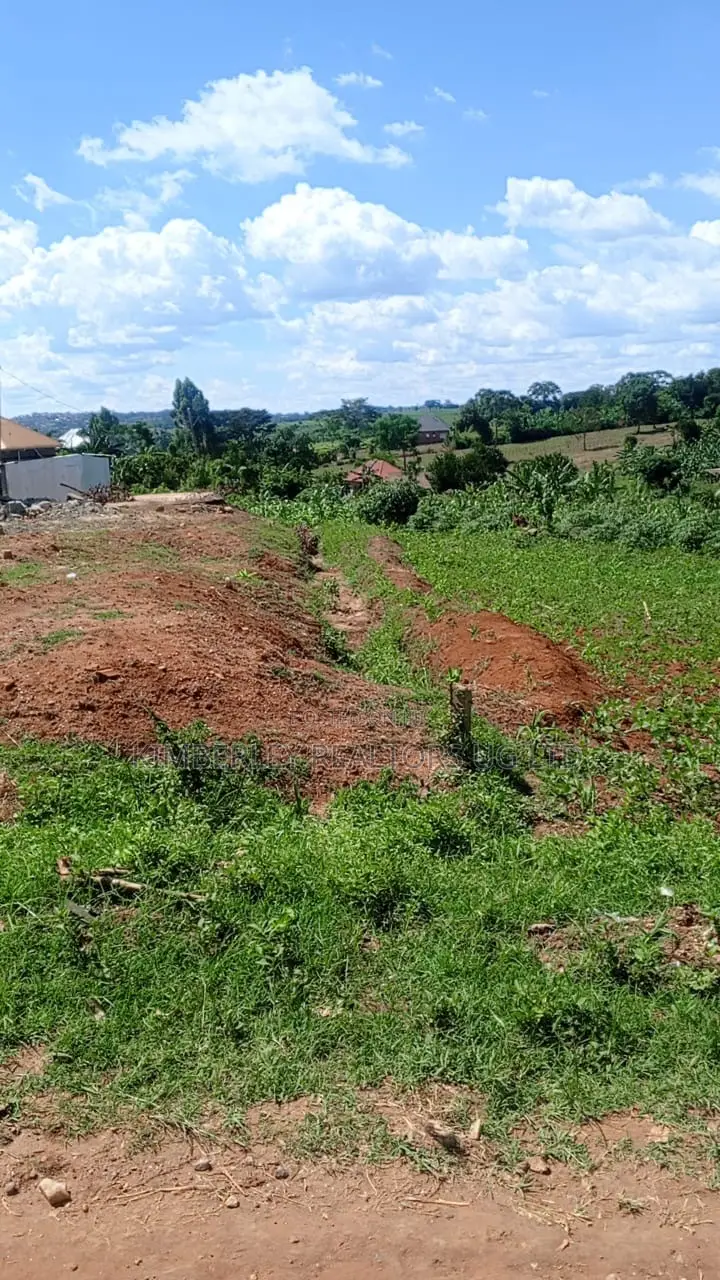  3 Plots of Land for Sale – Kabubu, Mukasa Road