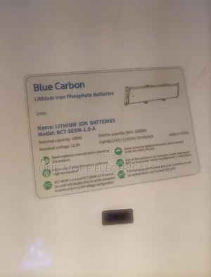Heavy Duty Blue Carbon Street Lights