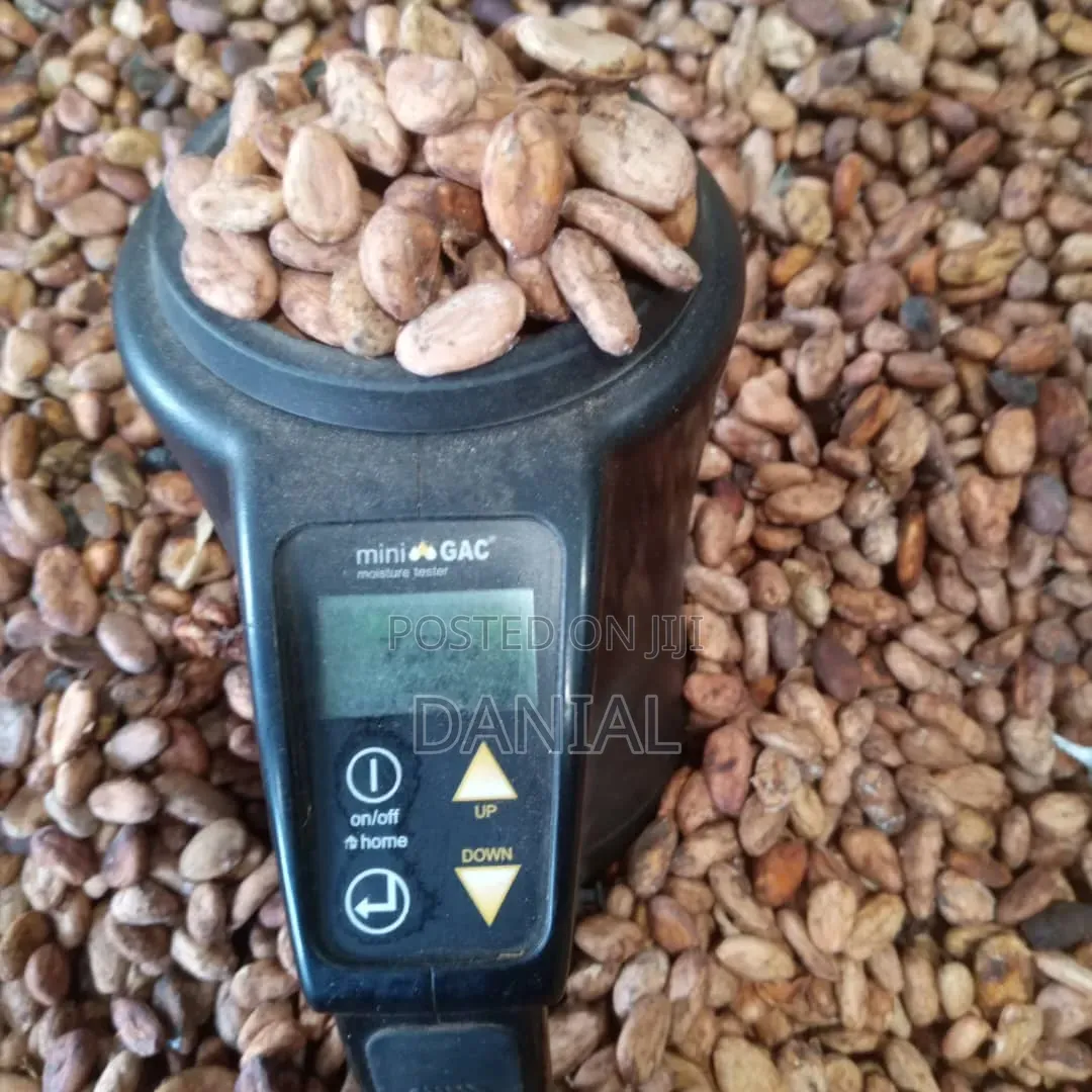 Cocoa Uganda