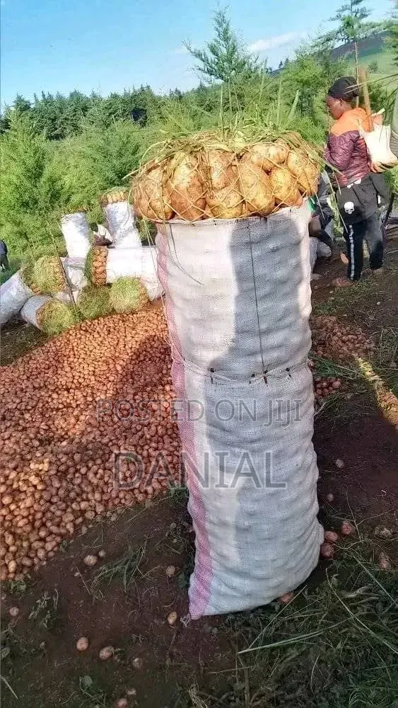Irish Potatoes Uganda