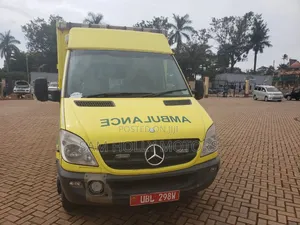 Mercedes-Benz eSprinter 2024 Yellow