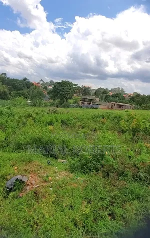 This Prime Estate Is Ready for Sale