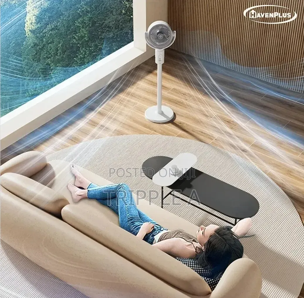 3 in 1 Air Circulation Mist Fan