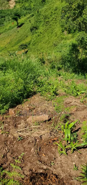 200 Acre for Sale in Kyabasenja Hoima District