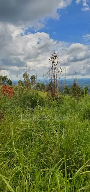 200 Acre for Sale in Kyabasenja Hoima District