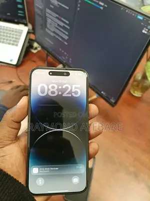 Apple iPhone 14 Pro Max 256 GB Gray