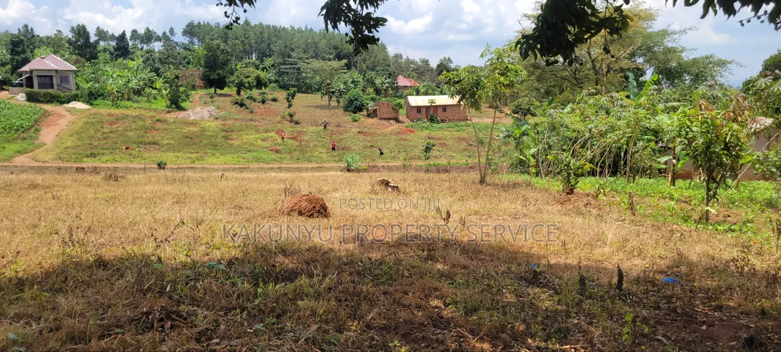 12M Ready Title, Namayumba