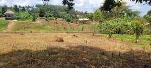 12M Ready Title, Namayumba