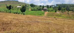 12M Ready Title, Namayumba