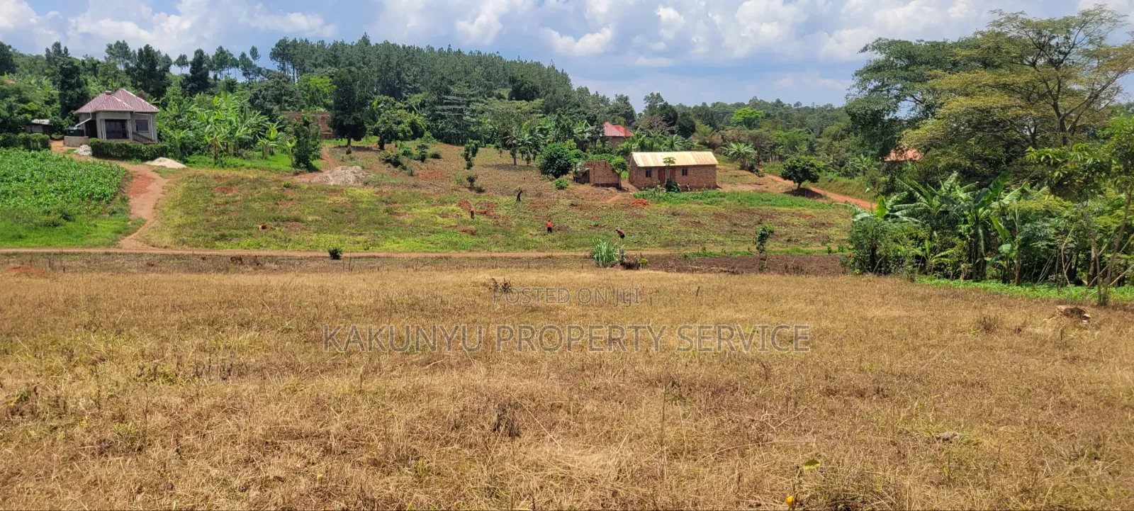 12M Ready Title, Namayumba