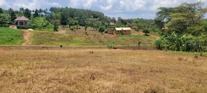 12M Ready Title, Namayumba