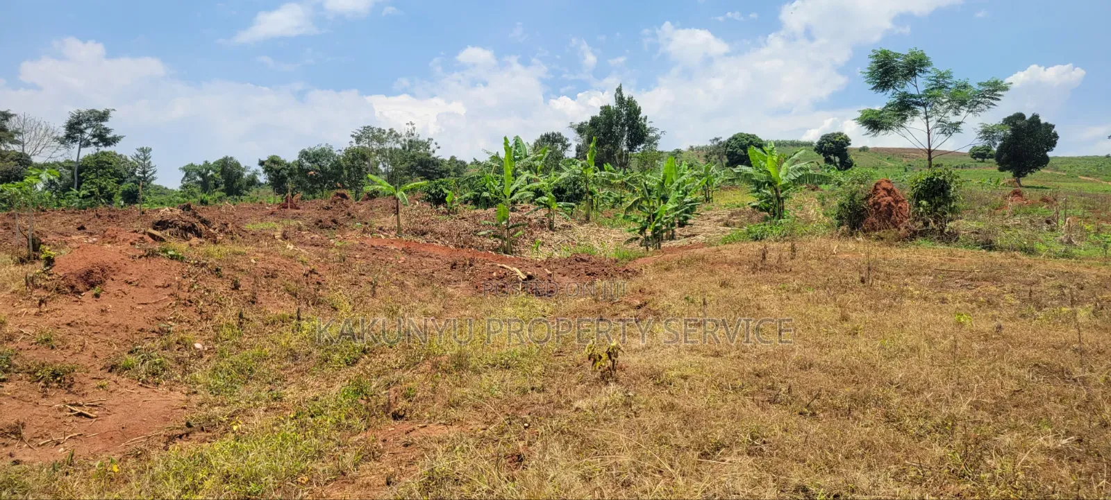12M Ready Title, Namayumba