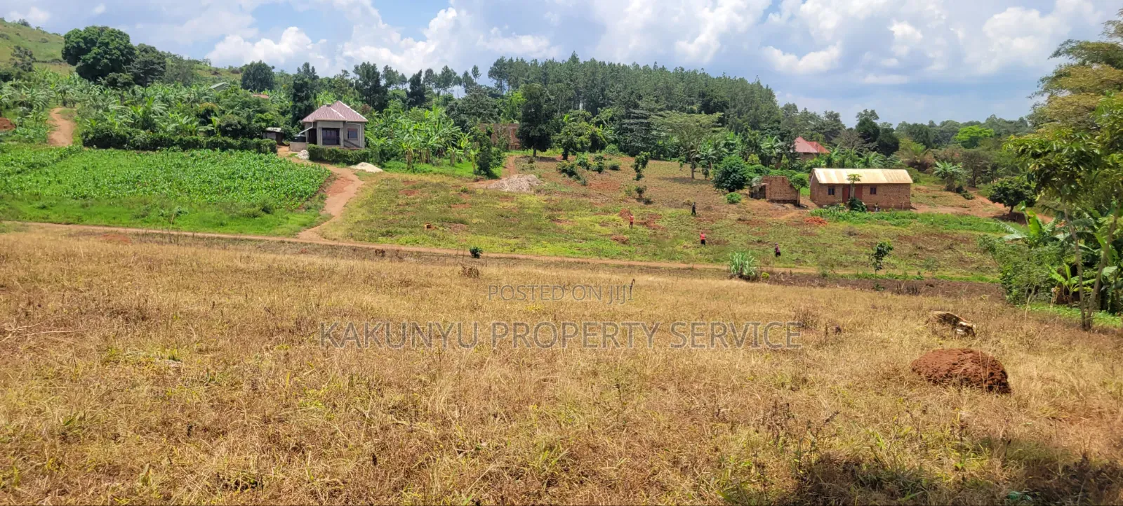 12M Ready Title, Namayumba
